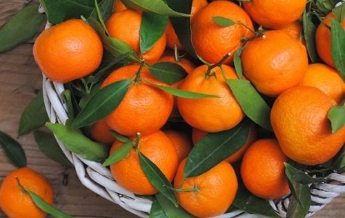 k-chemu-snyatsya-mandariny 1