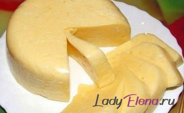 Сыр с чесноком и укропом
